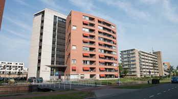 Tuinfluiter Appartement Type B Kerklaan 169